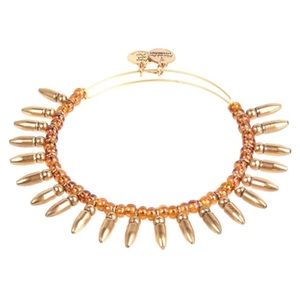 ✨Alex and Ani Spike of Confidence Bracelet